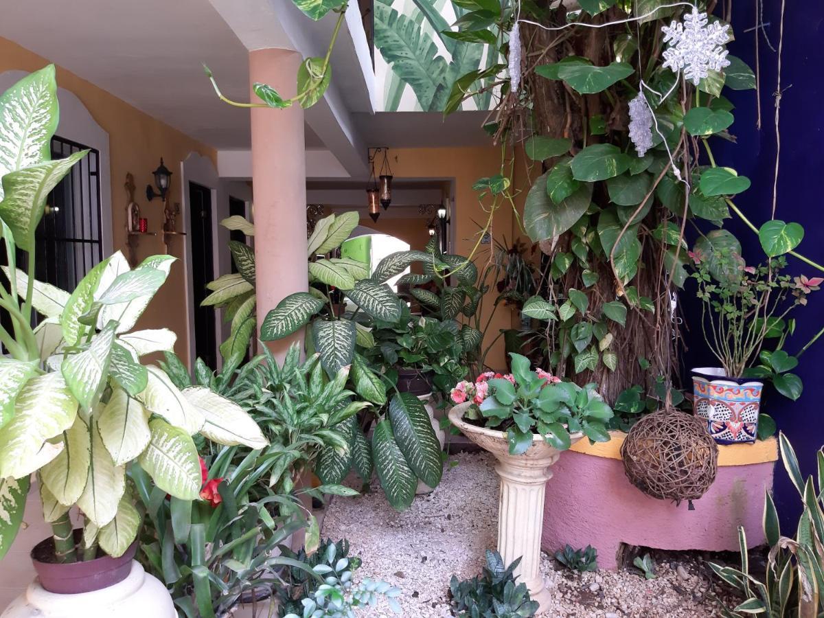 Hotel Palacio Canton فالادوليد المظهر الخارجي الصورة